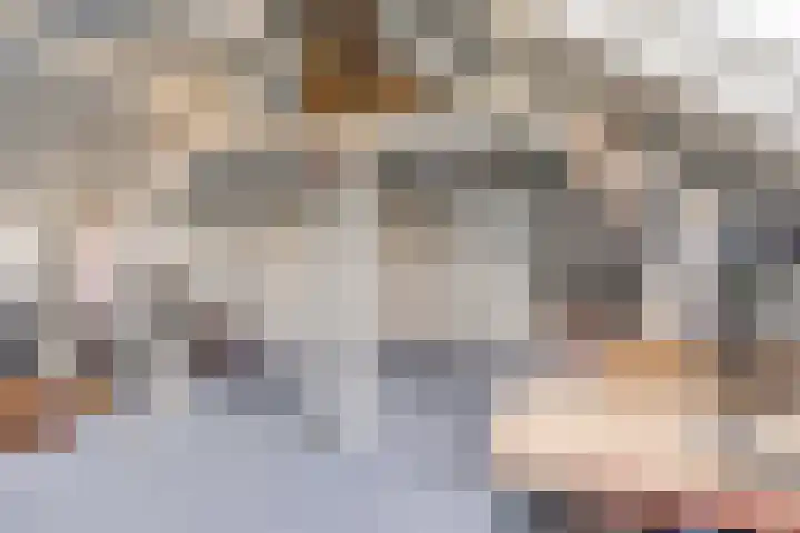 Tibeertlaan 6 Oudenbosch thumbnail 34