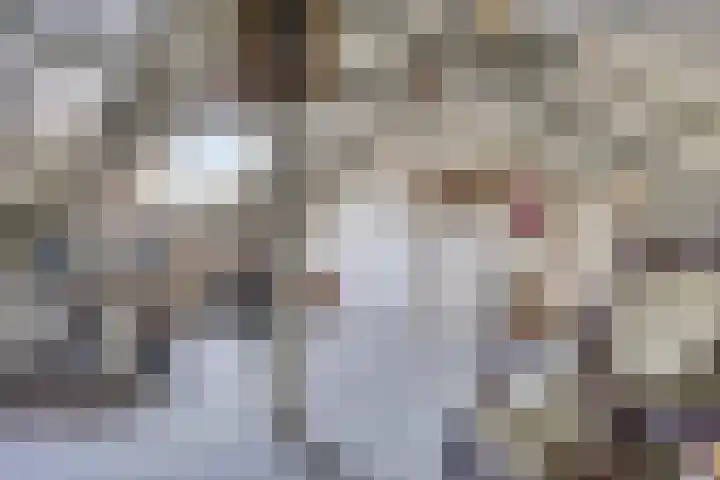 Tibeertlaan 6 Oudenbosch thumbnail 36