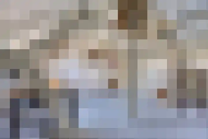 Tibeertlaan 6 Oudenbosch thumbnail 37
