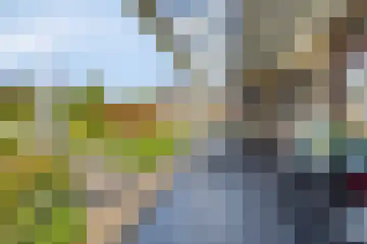 Tibeertlaan 6 Oudenbosch thumbnail 4