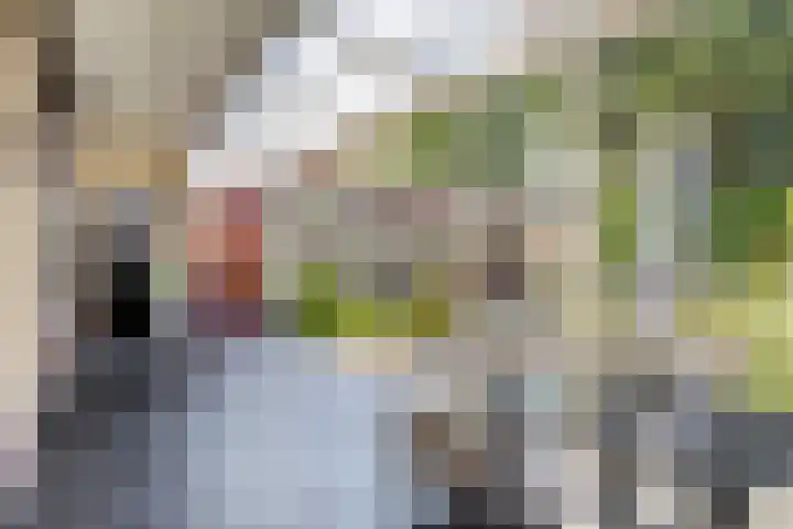 Tibeertlaan 6 Oudenbosch thumbnail 42