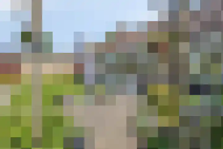 Tibeertlaan 6 Oudenbosch thumbnail 43