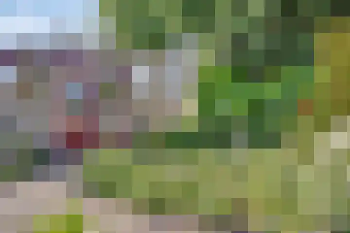 Tibeertlaan 6 Oudenbosch thumbnail 45