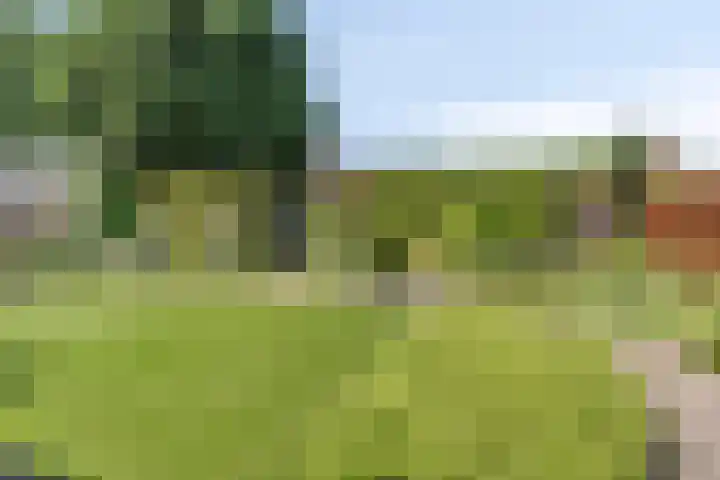 Tibeertlaan 6 Oudenbosch thumbnail 46