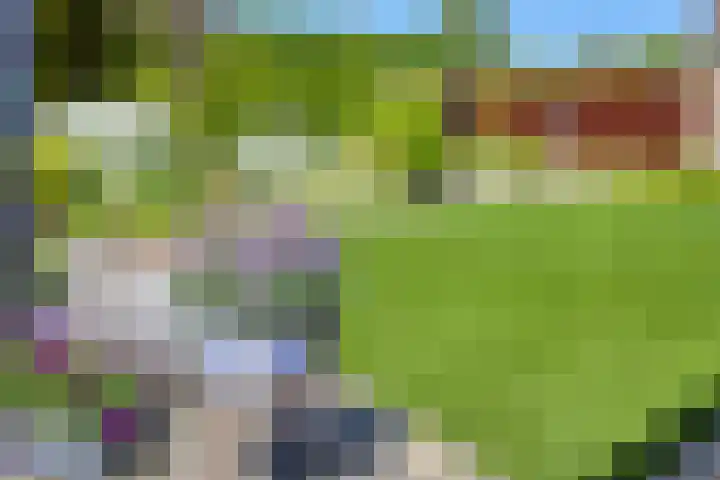 Tibeertlaan 6 Oudenbosch thumbnail 47