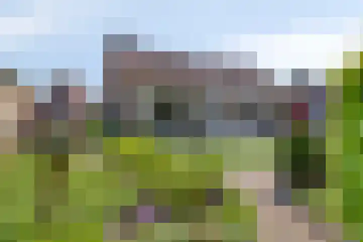 Tibeertlaan 6 Oudenbosch thumbnail 5