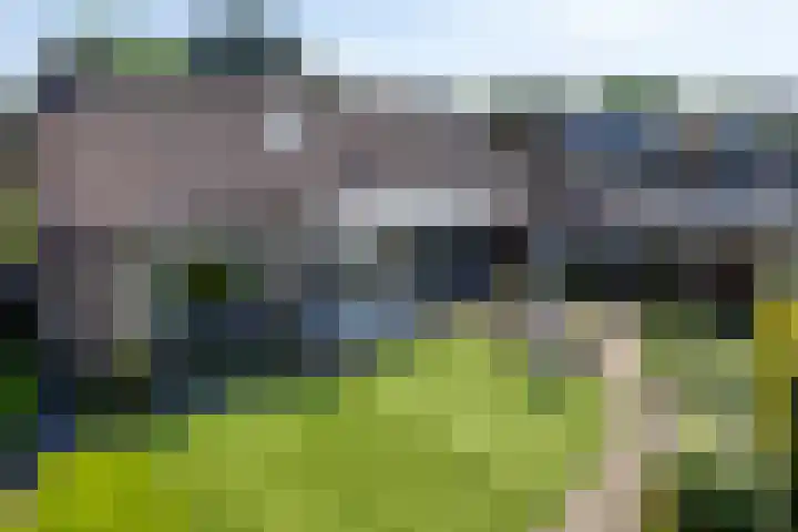 Tibeertlaan 6 Oudenbosch thumbnail 50