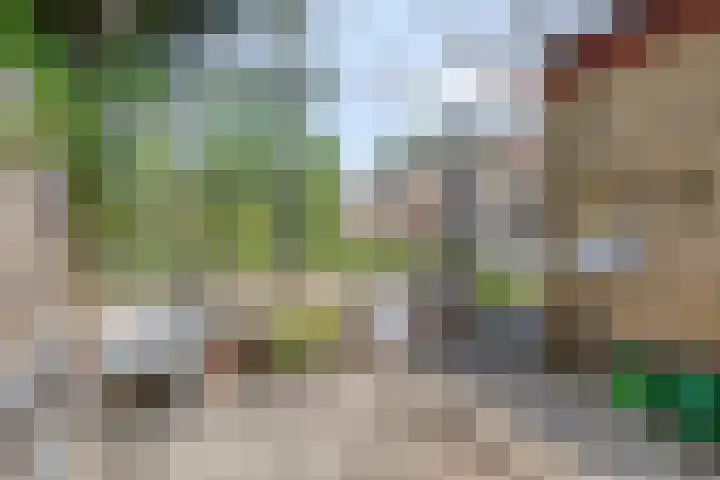 Tibeertlaan 6 Oudenbosch thumbnail 52