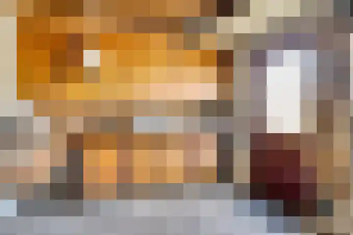Tibeertlaan 6 Oudenbosch thumbnail 54