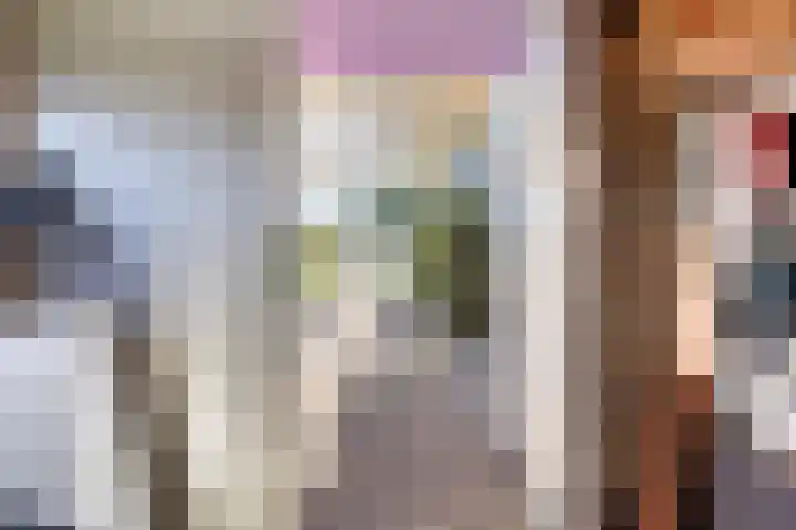Tibeertlaan 6 Oudenbosch thumbnail 56