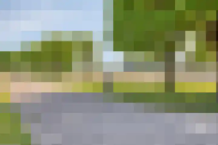 Tibeertlaan 6 Oudenbosch thumbnail 59
