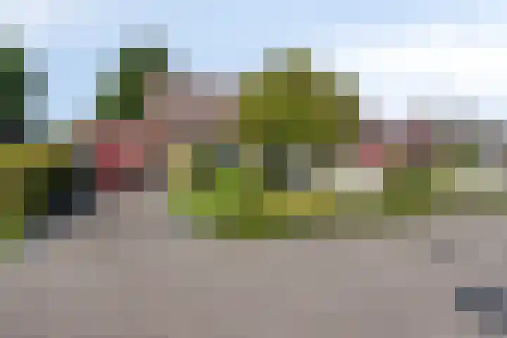 Tibeertlaan 6 Oudenbosch thumbnail 6