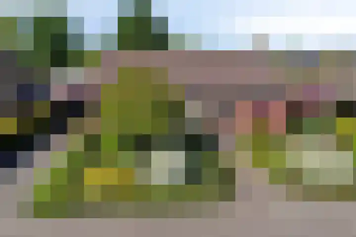 Tibeertlaan 6 Oudenbosch thumbnail 63