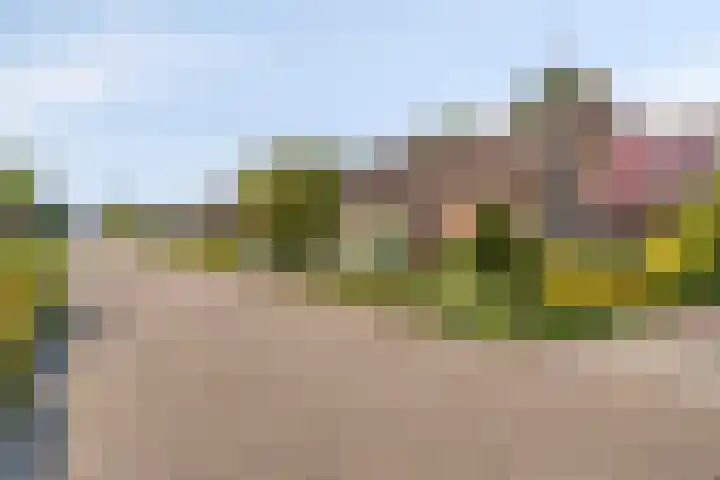 Tibeertlaan 6 Oudenbosch thumbnail 7