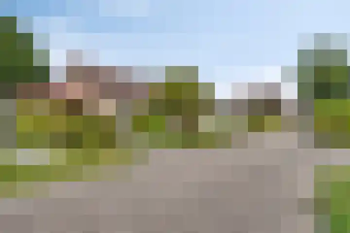 Tibeertlaan 6 Oudenbosch thumbnail 8