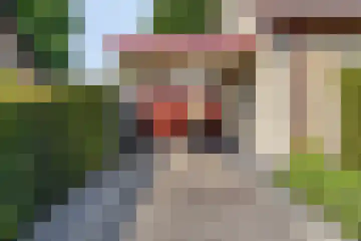 Tibeertlaan 6 Oudenbosch thumbnail 9