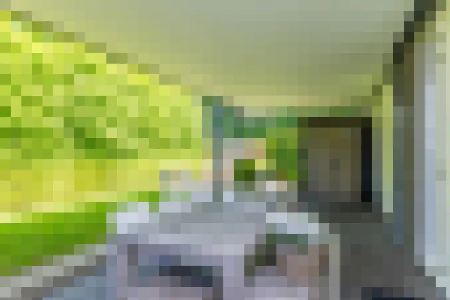 Tiber 15 Nuth thumbnail 36