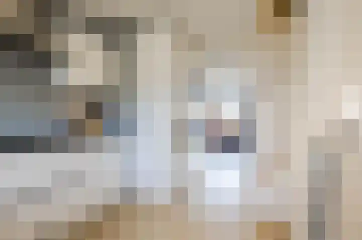 Tiber 16 Nieuwerkerk aan den IJssel thumbnail 12