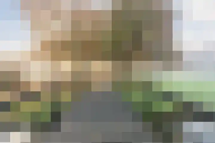 Tiber 16 Nieuwerkerk aan den IJssel thumbnail 39