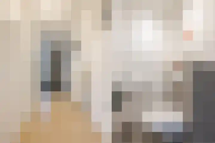 Tiber 16 Nieuwerkerk aan den IJssel thumbnail 6
