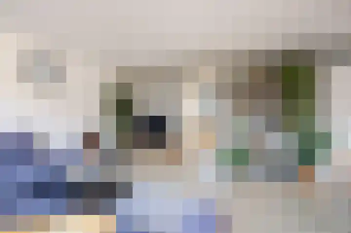 Tiber 16 Nieuwerkerk aan den IJssel thumbnail 7