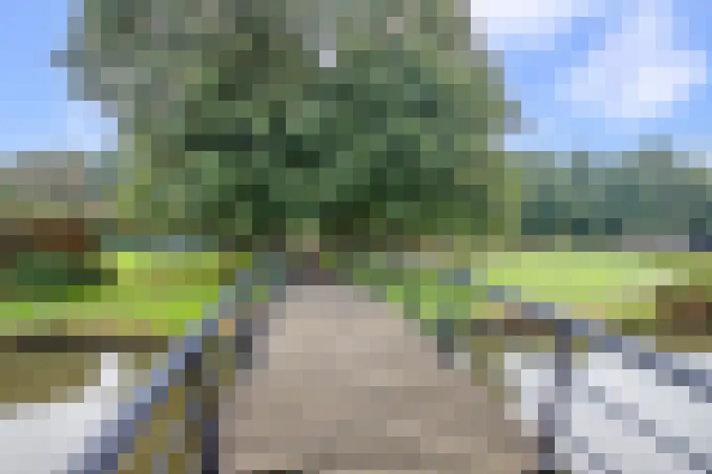 Tiber 7 Nieuwerkerk aan den IJssel thumbnail 42