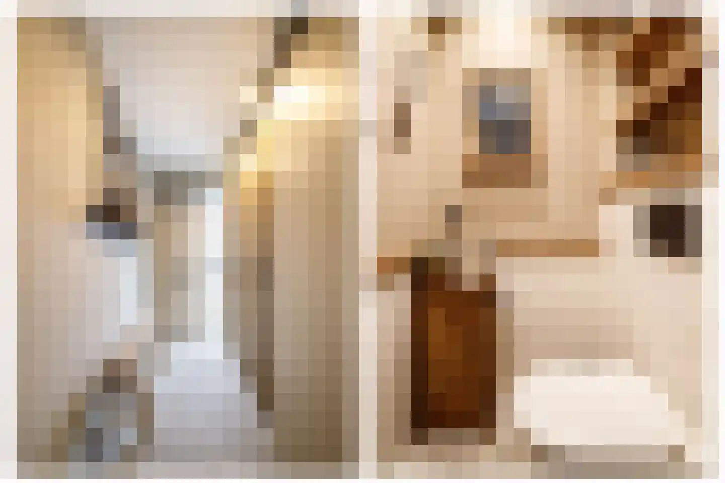 Tiber 7 Nieuwerkerk aan den IJssel thumbnail 7