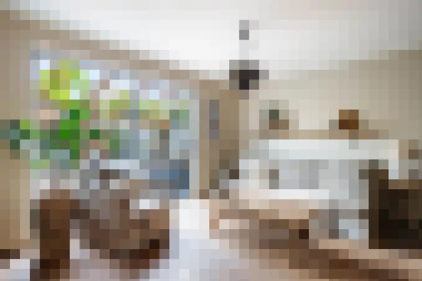 Tiber 7 Nieuwerkerk aan den IJssel thumbnail 9
