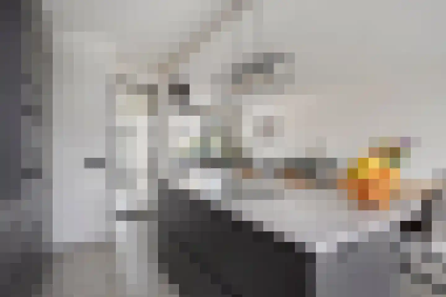 Tiberhof 17 Veghel thumbnail 12
