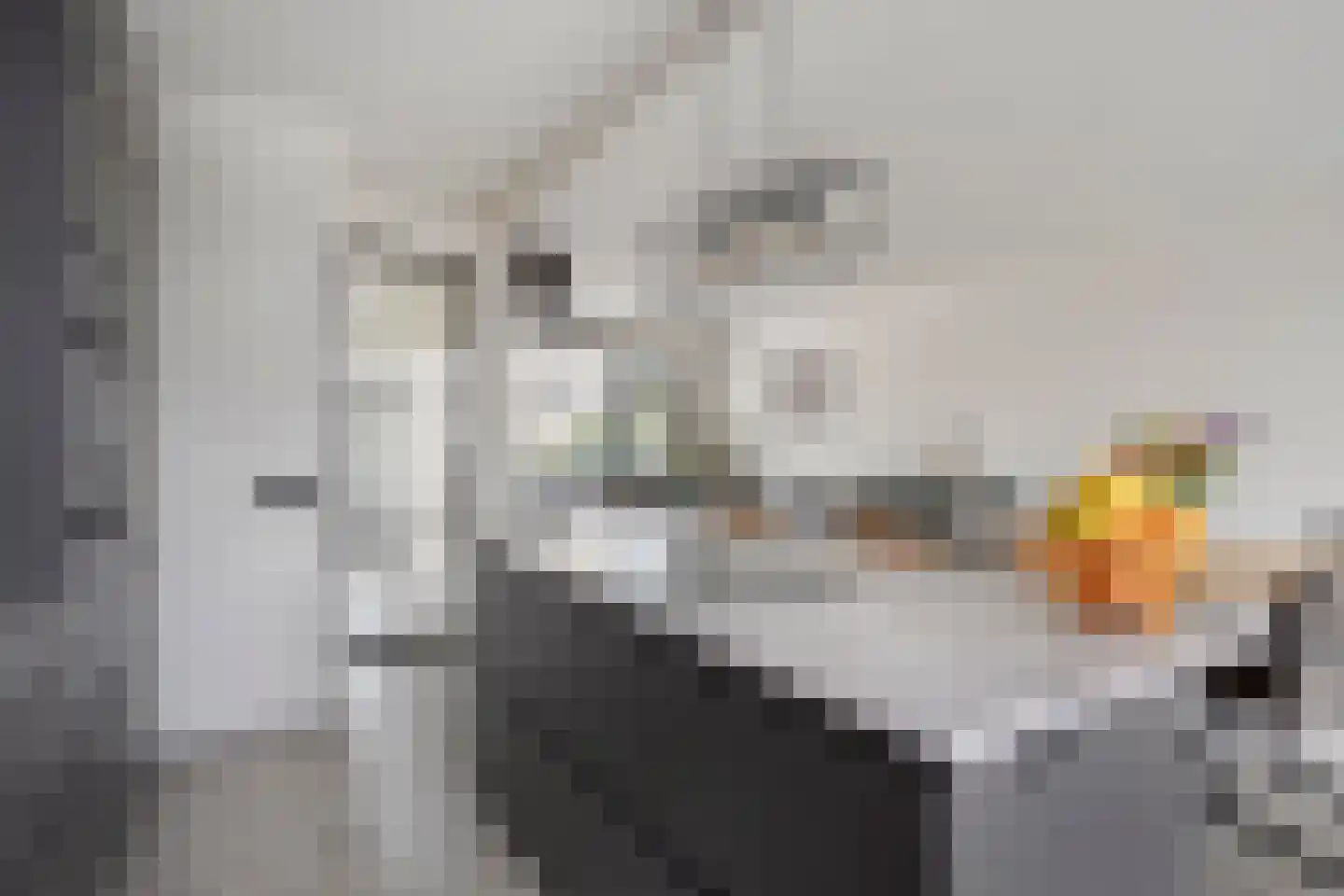 Tiberhof 17 Veghel thumbnail 12