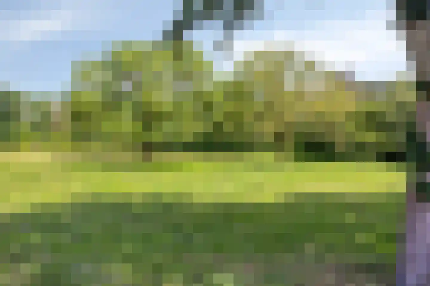 Tiberhof 17 Veghel thumbnail 26