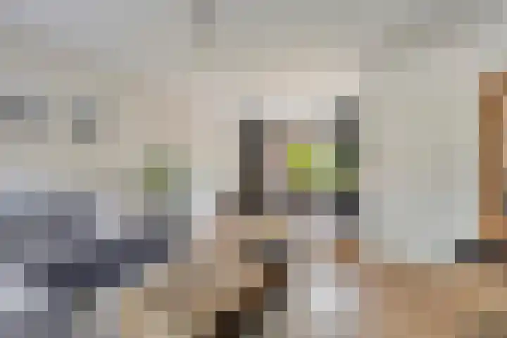 Tiberhof 17 Veldhoven thumbnail 10