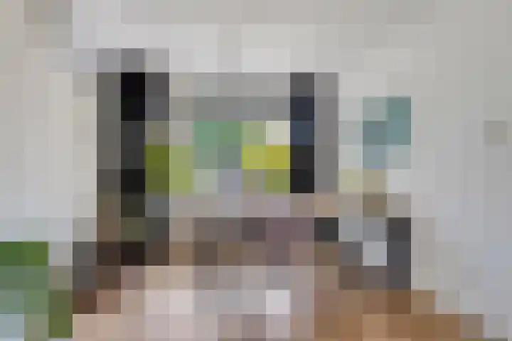 Tiberhof 17 Veldhoven thumbnail 12