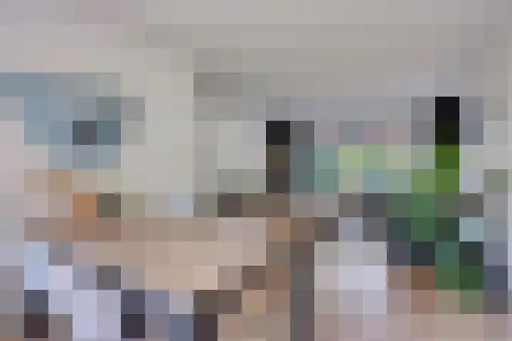 Tiberhof 17 Veldhoven thumbnail 13