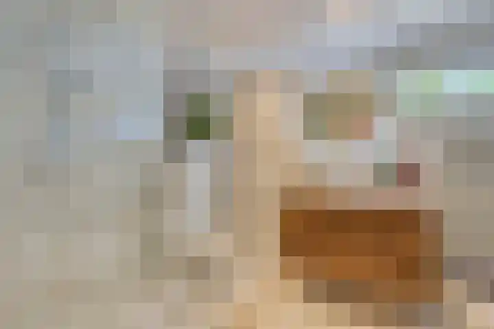 Tiberhof 17 Veldhoven thumbnail 24
