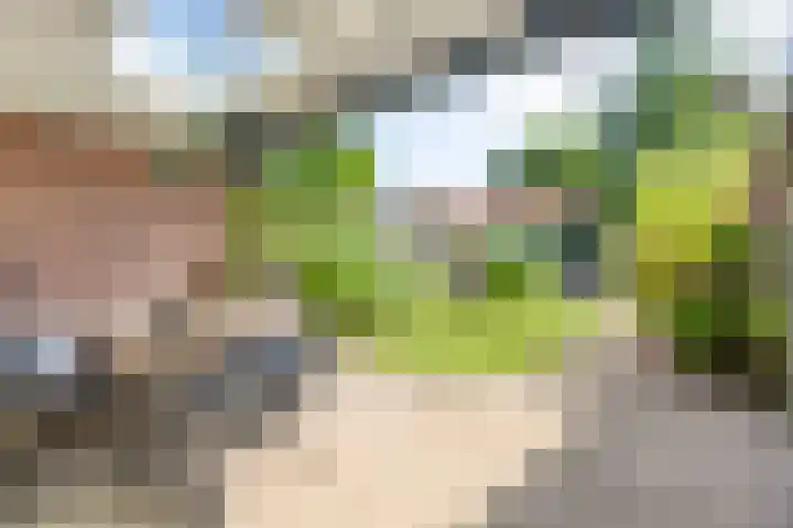 Tiberhof 17 Veldhoven thumbnail 34