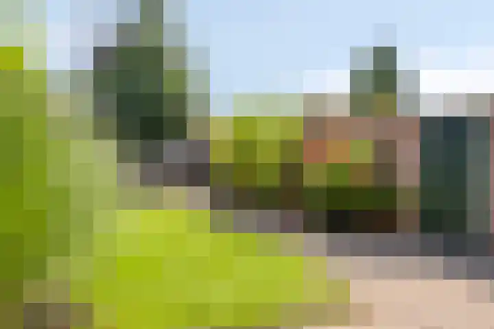 Tiberhof 17 Veldhoven thumbnail 37