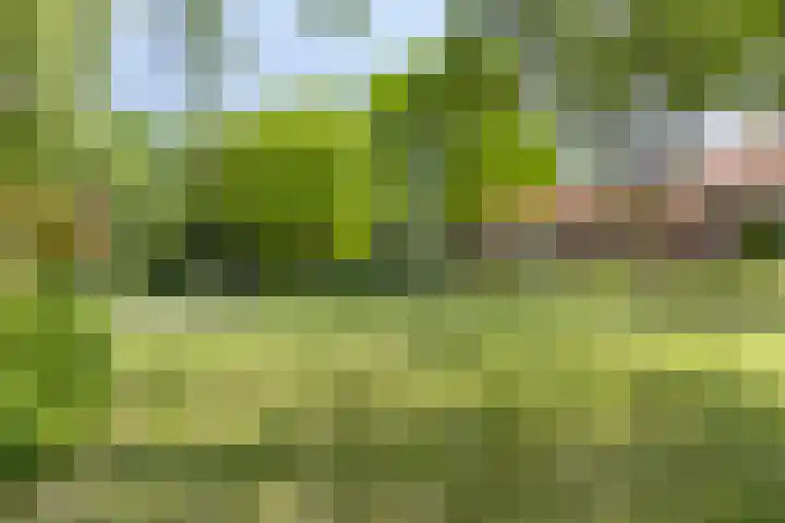 Tiberhof 17 Veldhoven thumbnail 38