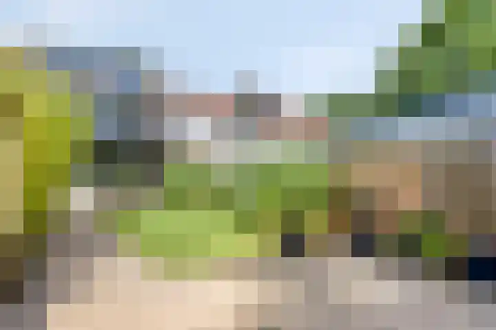Tiberhof 17 Veldhoven thumbnail 4