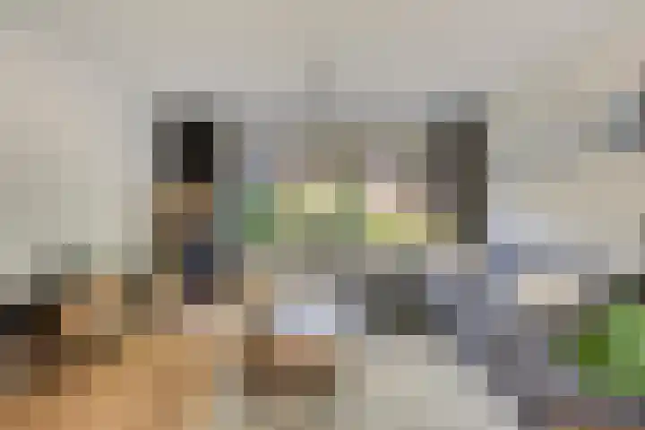 Tiberhof 17 Veldhoven thumbnail 9