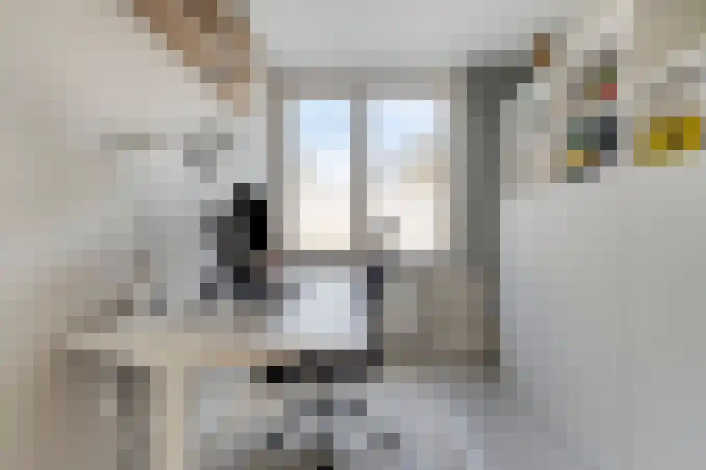 Tiberhof 20 Veghel thumbnail 15
