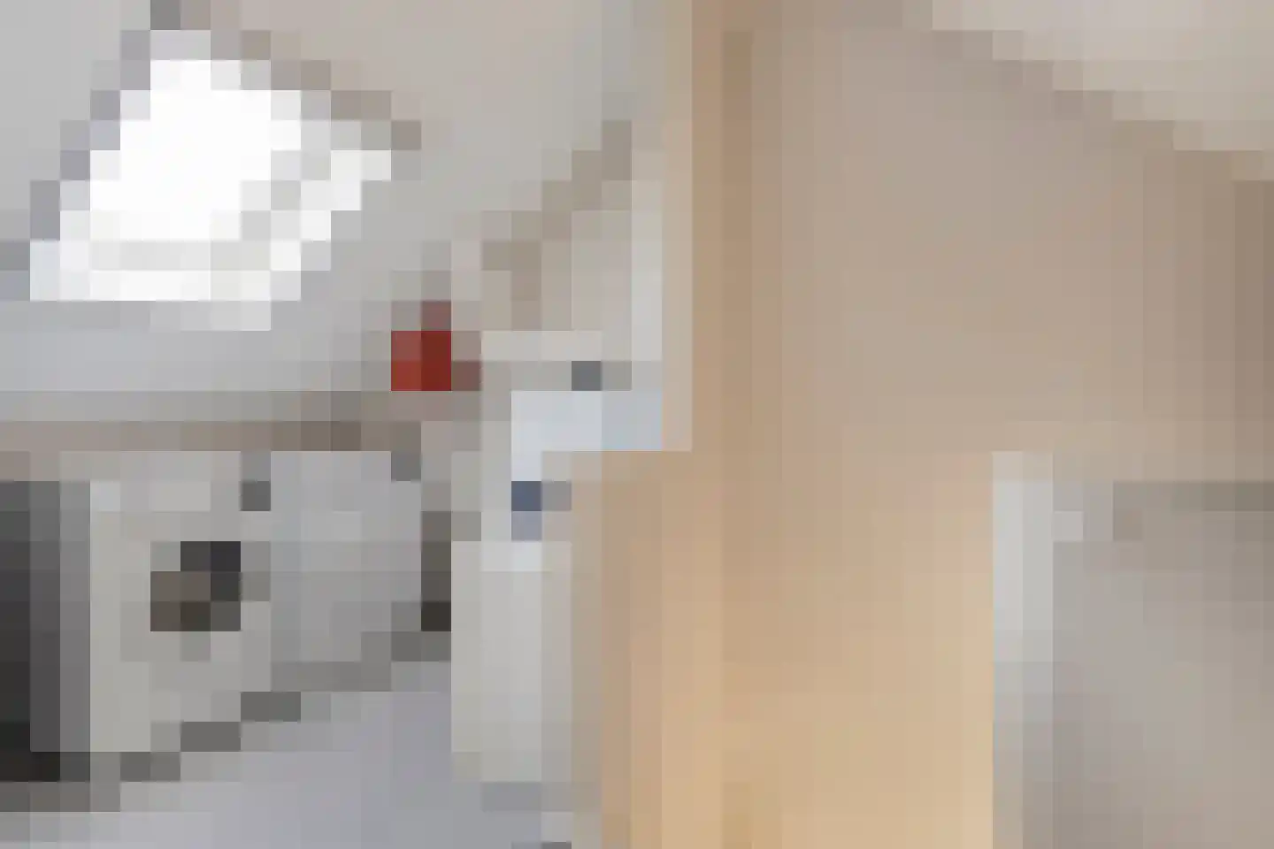 Tiberhof 20 Veghel thumbnail 20