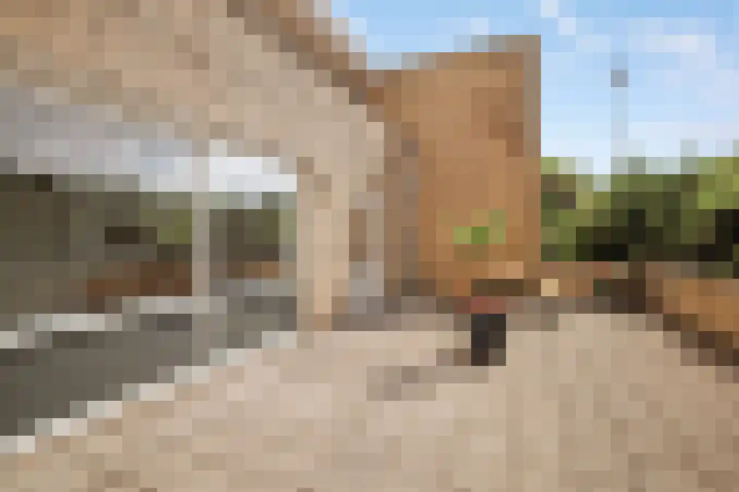 Tiberiaslaan 3 Rotterdam thumbnail 10