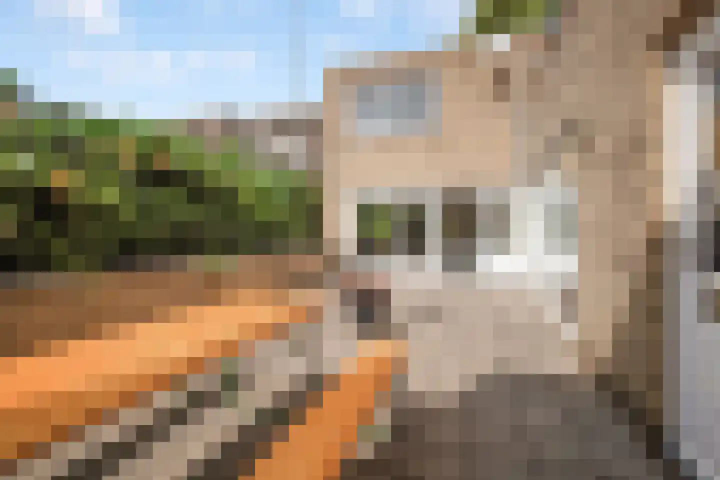 Tiberiaslaan 3 Rotterdam thumbnail 12