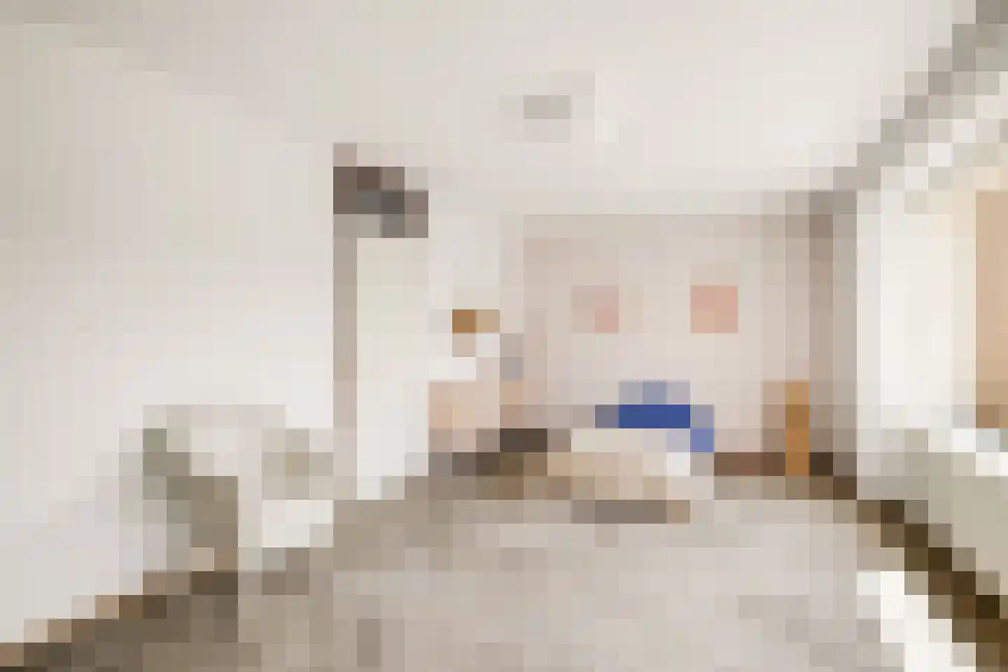 Tiberiaslaan 3 Rotterdam thumbnail 13