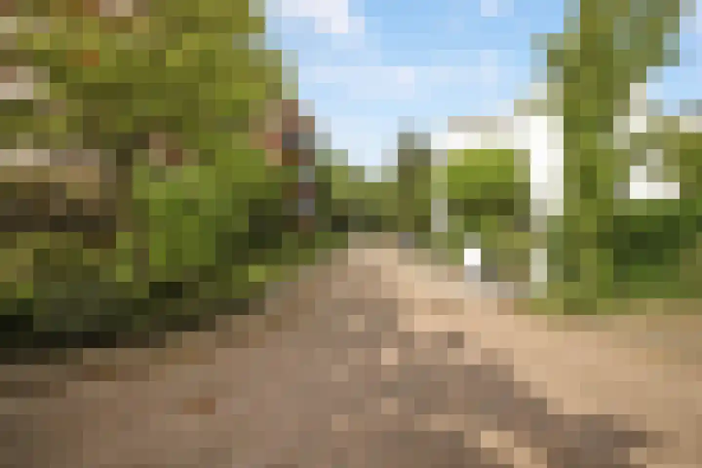 Tiberiaslaan 3 Rotterdam thumbnail 24