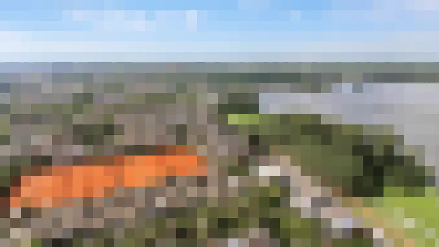 Tiberiaslaan 3 Rotterdam thumbnail 26