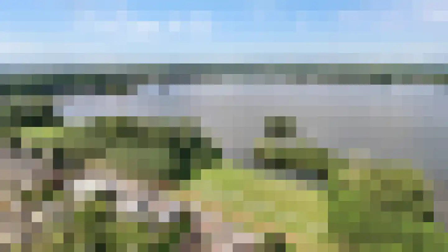 Tiberiaslaan 3 Rotterdam thumbnail 4
