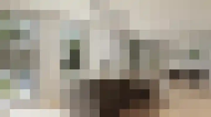 Tiberiuslaan 3 Venlo thumbnail 12