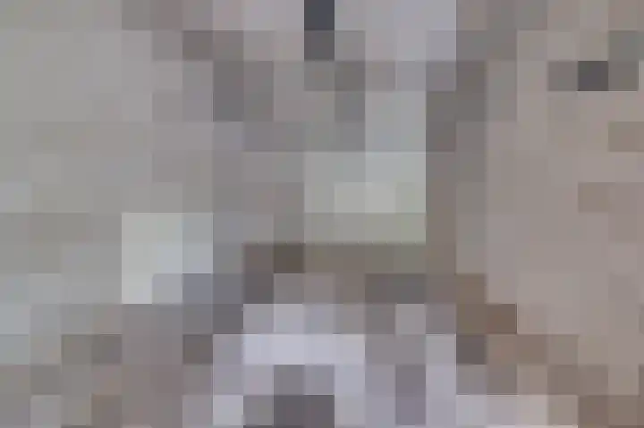 Tiberiuslaan 3 Venlo thumbnail 36